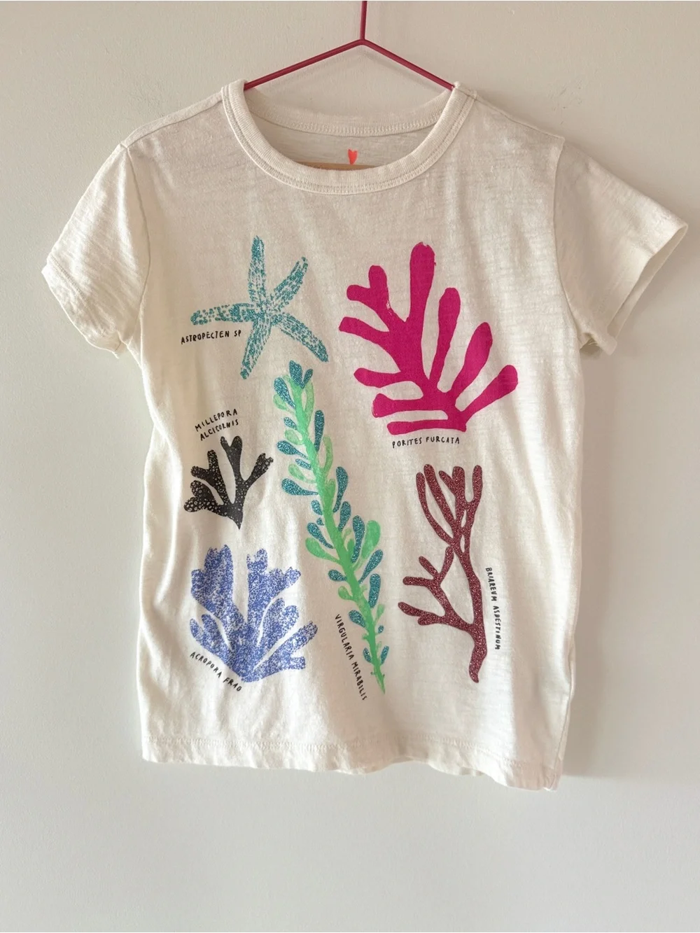 J.Crew Crewcuts Girls Under The Sea Graphic Tee Coral Garden Size Small S 6-7